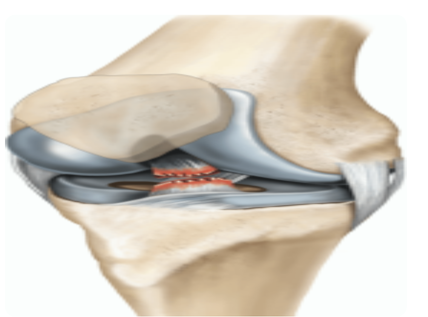 Surgeons performing a cholecystectomy