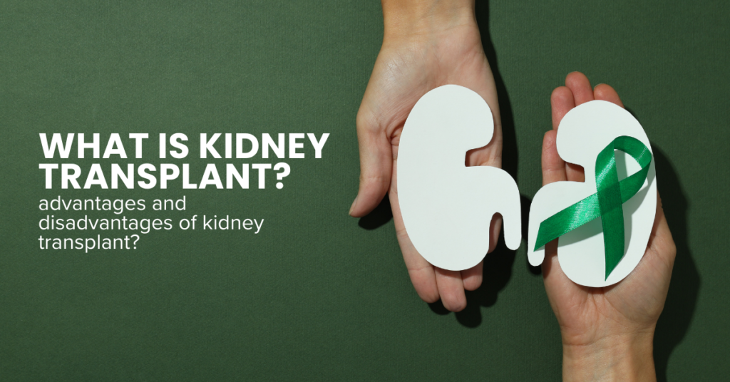 Understanding Kidney Transplants: Procedure, Advantages, Disadvantages, and Success Rates